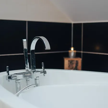 公寓式酒店 Apartma Oberleithneruv Palac 3*
